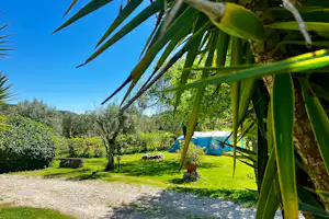 Camping Quinta da Cerejeira - Zeltplatz auf dem Campingplatz