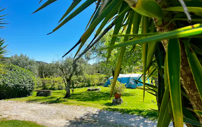 Camping Quinta da Cerejeira