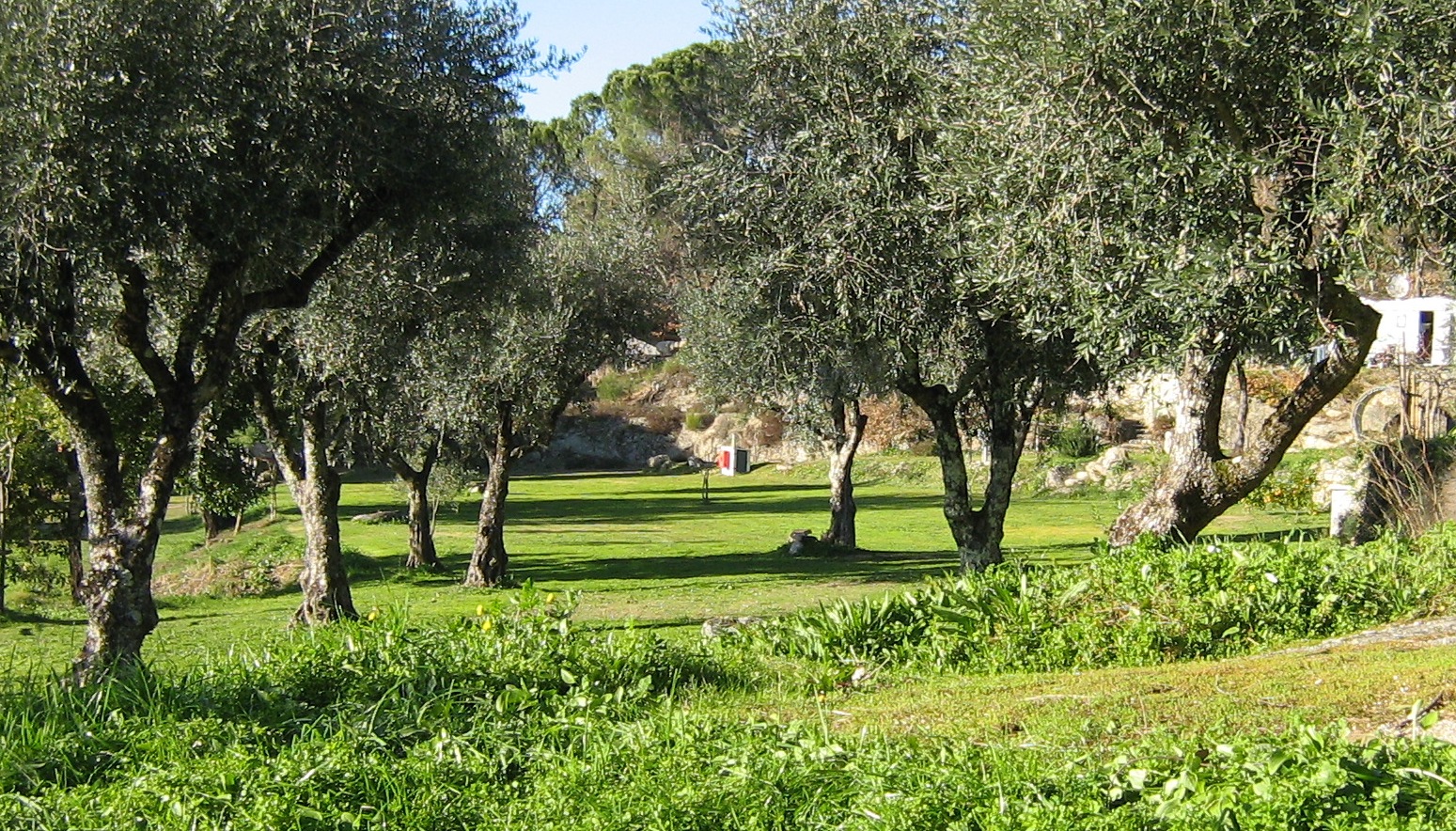 Camping Quinta do Tapadinho