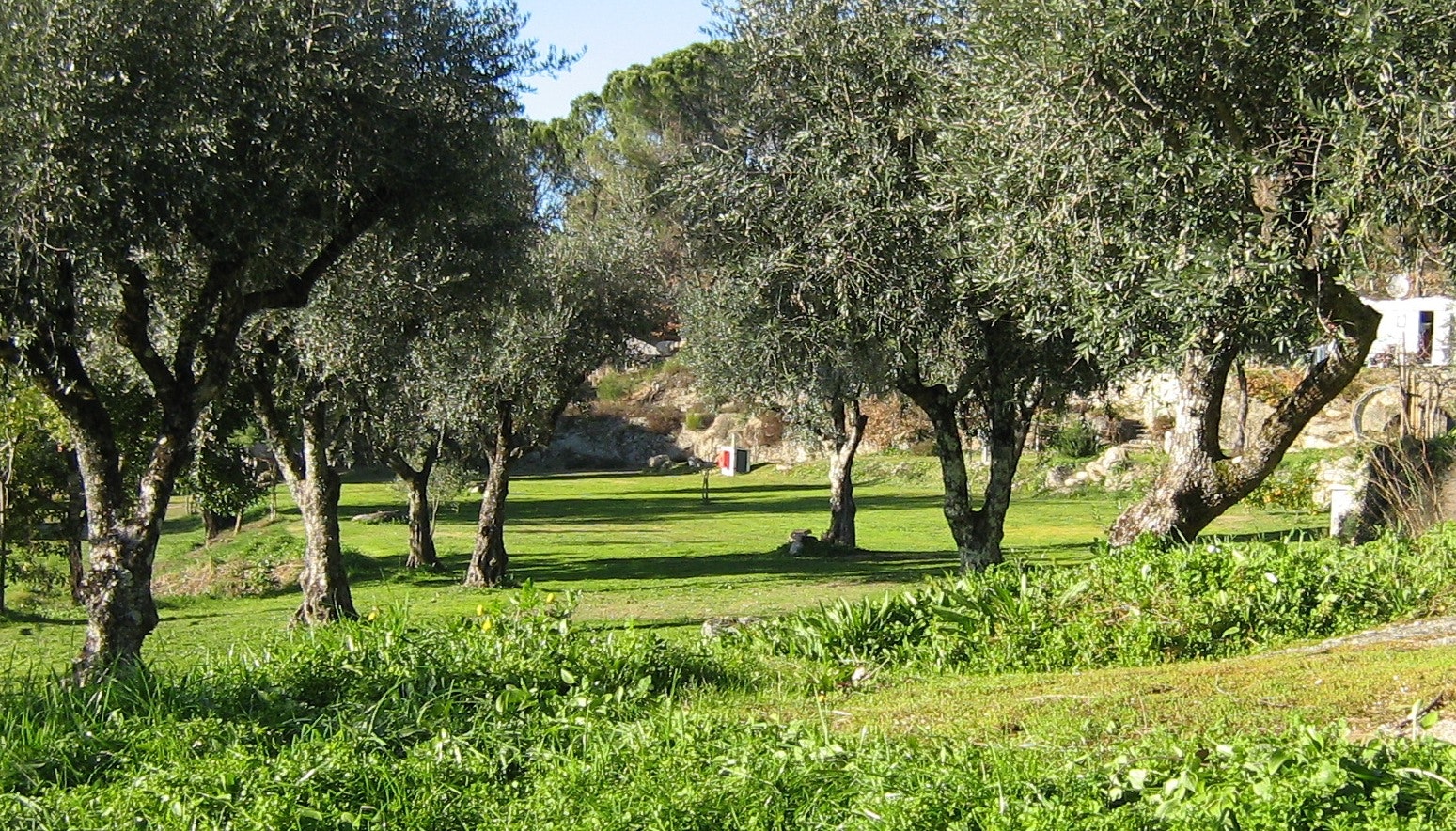 Camping Quinta do Tapadinho