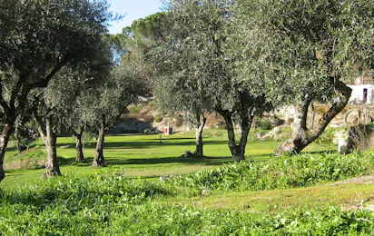 Camping Quinta do Tapadinho