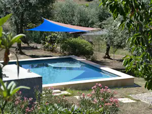 Blauer Swimmingpool im Garten mit Blumenbeeten, umgeben von Bäumen und einem Sonnensegel.
