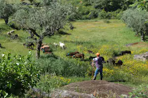 Camping Quinta do Tapadinho