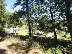 Campinggarten mit hohen Bäumen, Rasenfläche und Sitzbereich mit Stühlen und Tisch im Schatten.