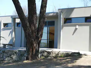 Campinggebäude mit Terrasse und großen Fenstern, davor ein Baum und ein Natursteinmauerwerk am Weg.
