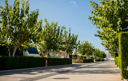 Camping Racó