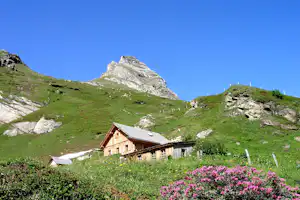 Camping Ramsbacher - Campingplatz Rezeption mit Blick auf die Berge auf dem Campingplatz