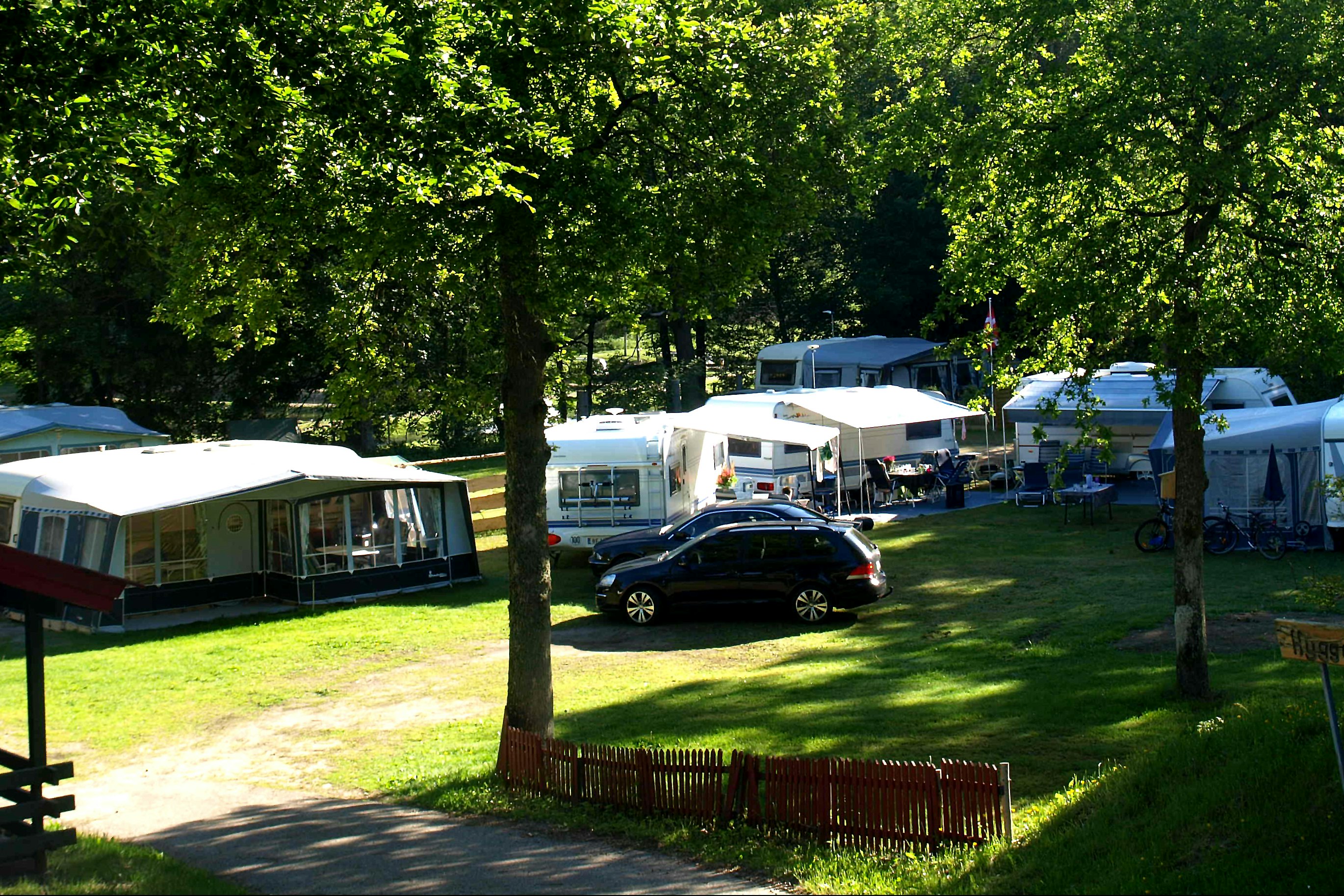 Wohnwagen und Campingbusse auf einem Stellplatz, mit Markisen, Autos und Bäumen im Hintergrund.