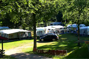 Wohnwagen und Campingbusse auf einem Stellplatz, mit Markisen, Autos und Bäumen im Hintergrund.