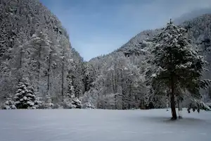 Camping Rania - Wiese auf dem Campingplatz im Winter