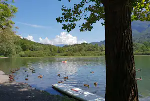 Seeufer mit Enten im Wasser, Bootssteg und großer Baum am Rand, im Hintergrund grüne Hügel und Berge.