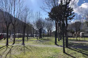 Reihe von Bäumen auf einem Campingplatz mit grünem Gras, Wohnwagen und Zelten im Hintergrund.