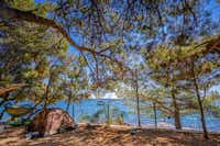 Rapoća Camping Village  Camping Rapoča - Zeltplätze im Schatten der Bäume