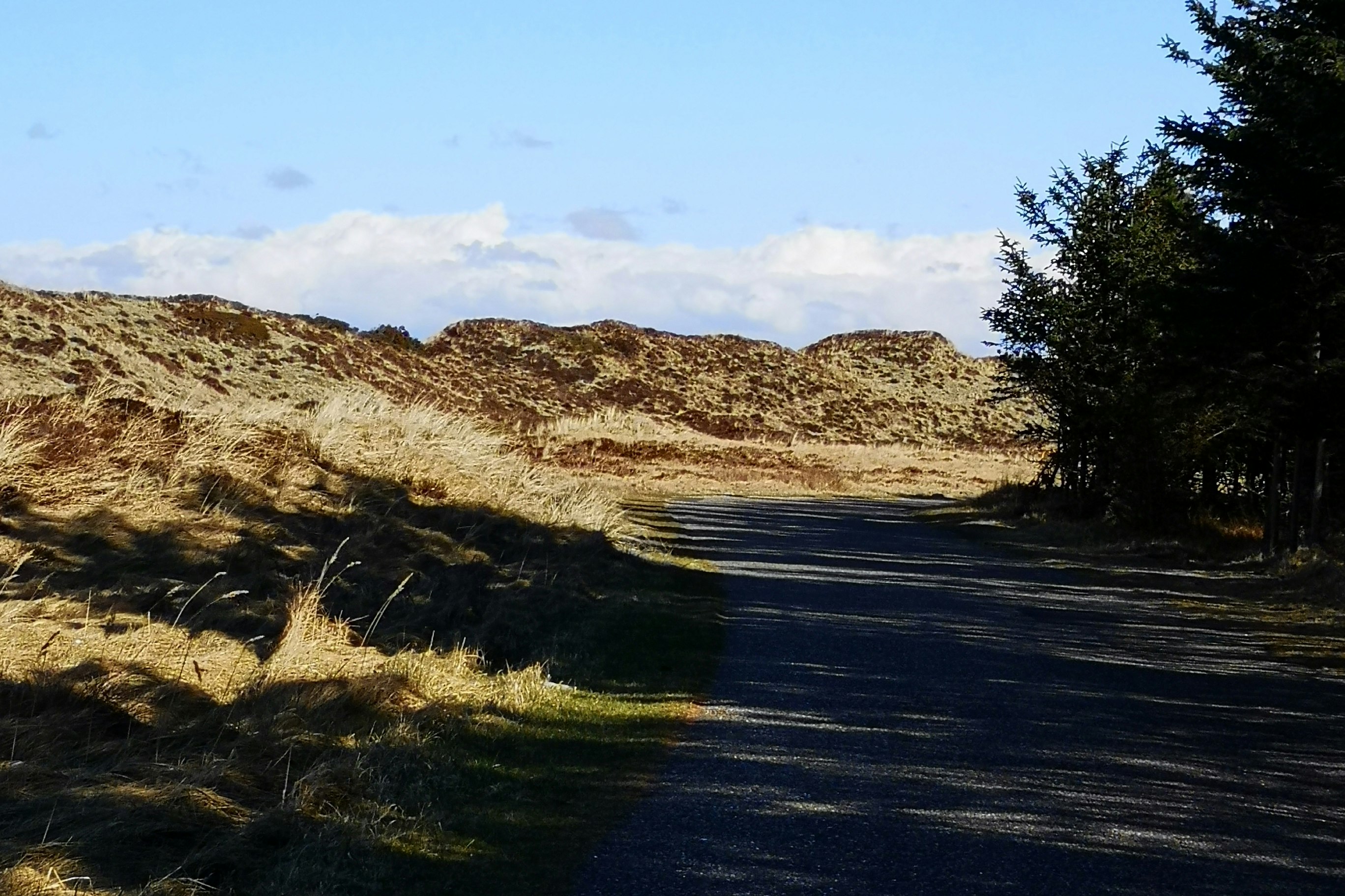 Camping Rødhus Klit - Camping in der Natur