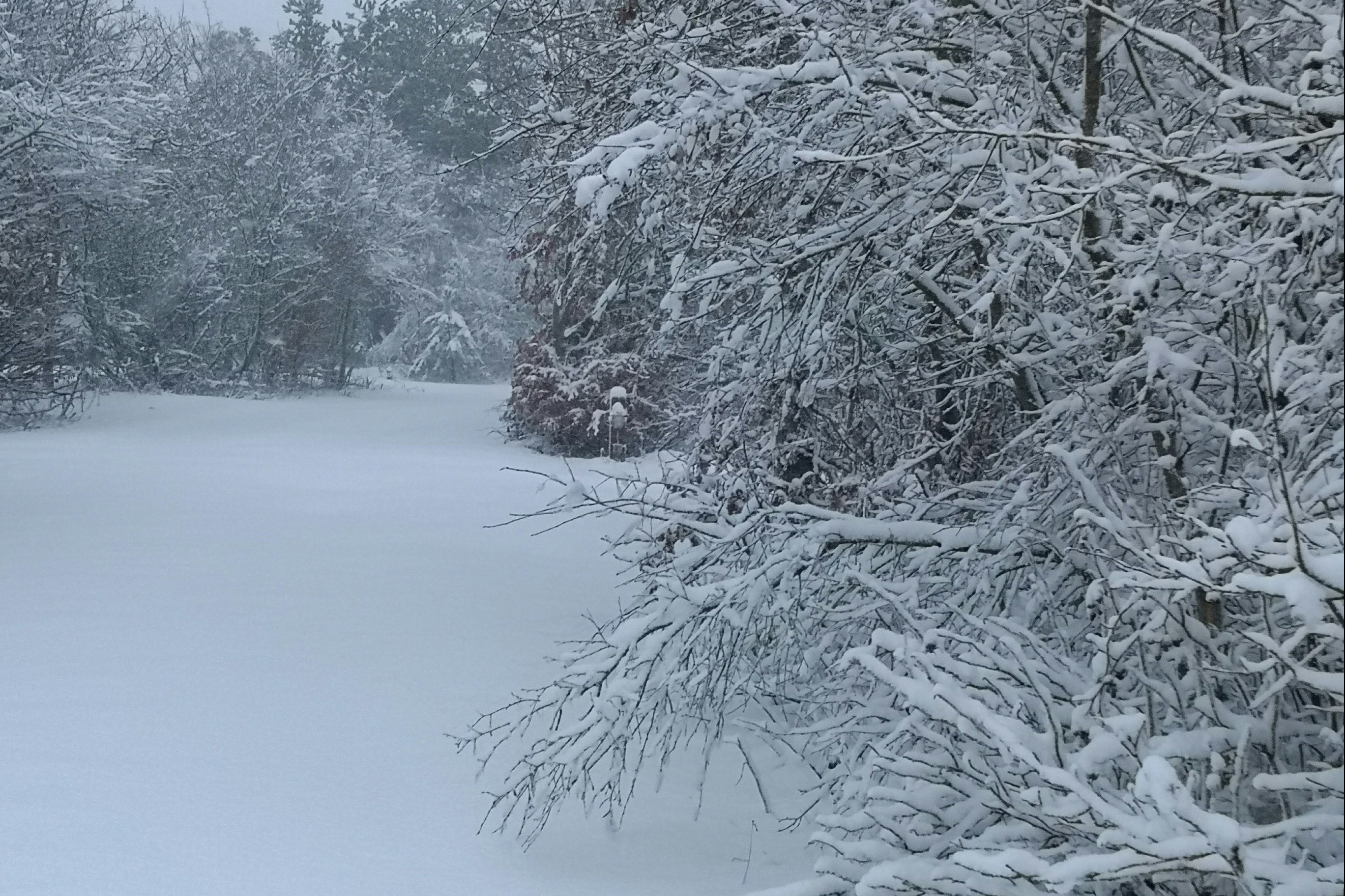 Camping Rødhus Klit - Verschneiter Campingplatz im Winter