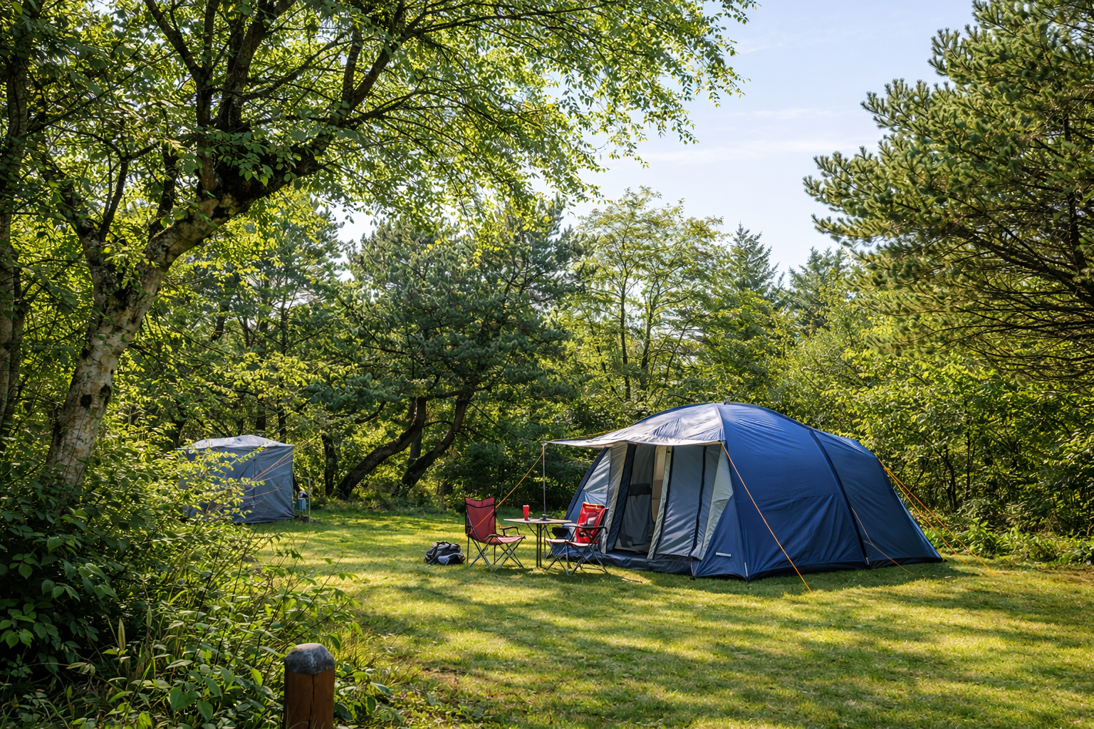 Camping Rødhus Klit - Wohnmobil- und Wohnwagenstandplätze auf der Wiese