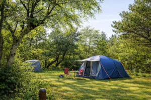 Camping Rødhus Klit - Wohnmobil- und Wohnwagenstandplätze auf der Wiese
