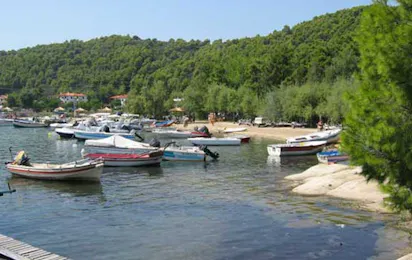 Camping Rea