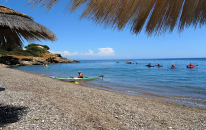 Camping Reale