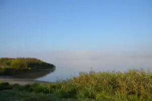 Ruhiger Fluss im Nebel, Uferweg und dichtes Ufergras im Vordergrund, Bäume und Schilf am Rand.