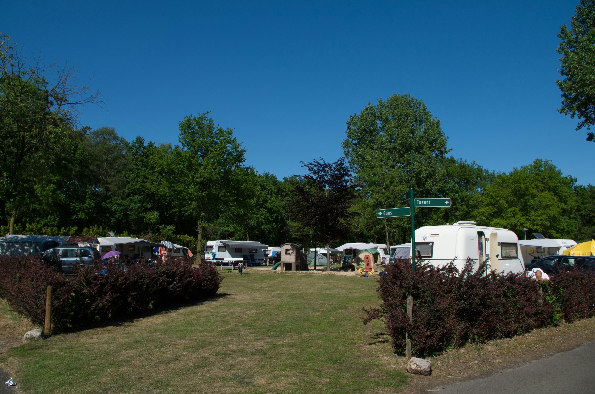 Camping & Recreatiepark de Weuste - Standplätze auf dem Campingplatz