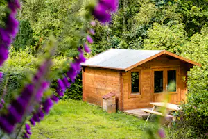 Camping Reilerweier - Mobilheim mit Terrasse auf dem Campingplatz