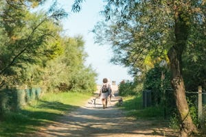 Camping Reno - Camperin mit Hunden beim Spazieren