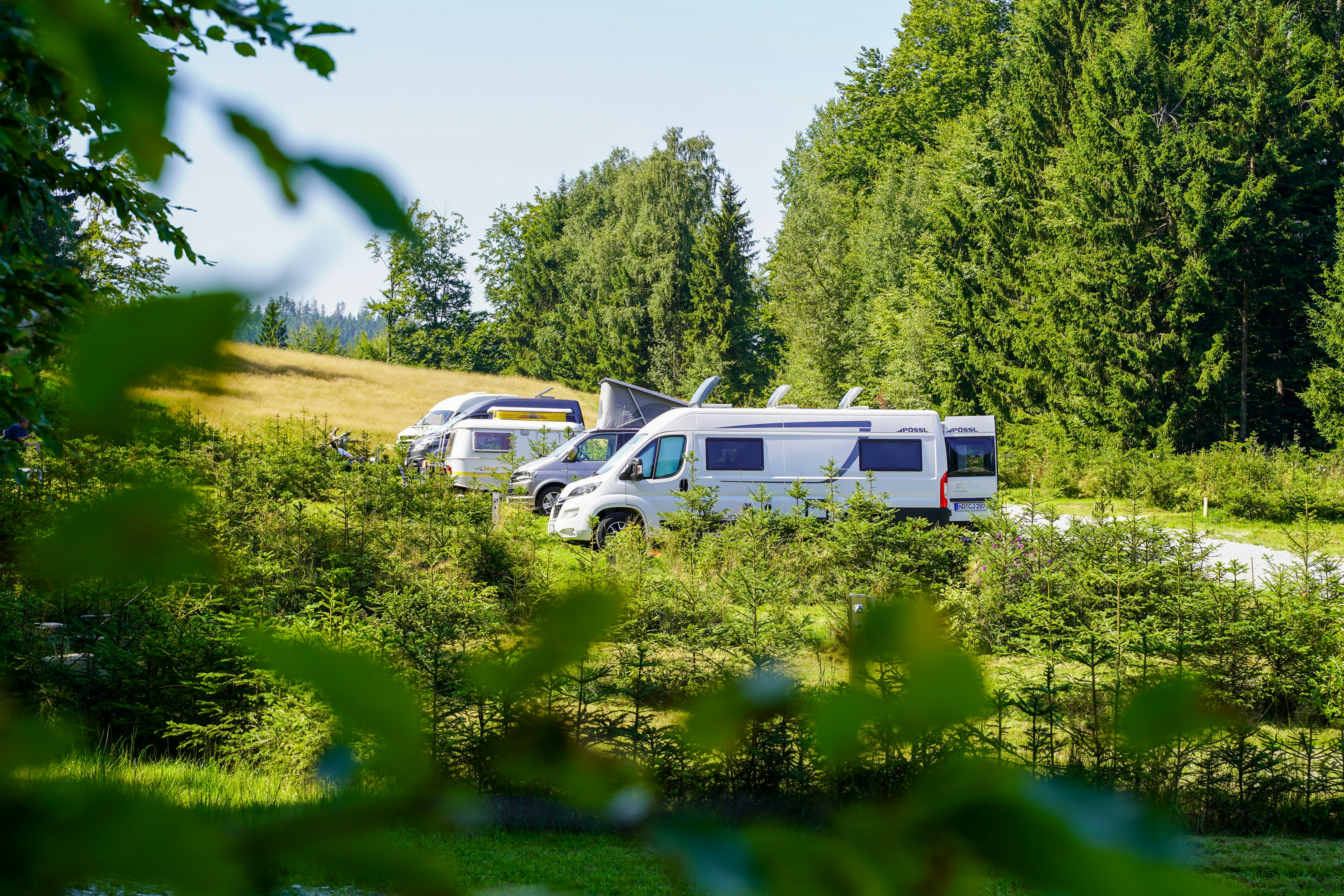 Camping Resort Bayerwald - Standplätze auf dem Campingplatz