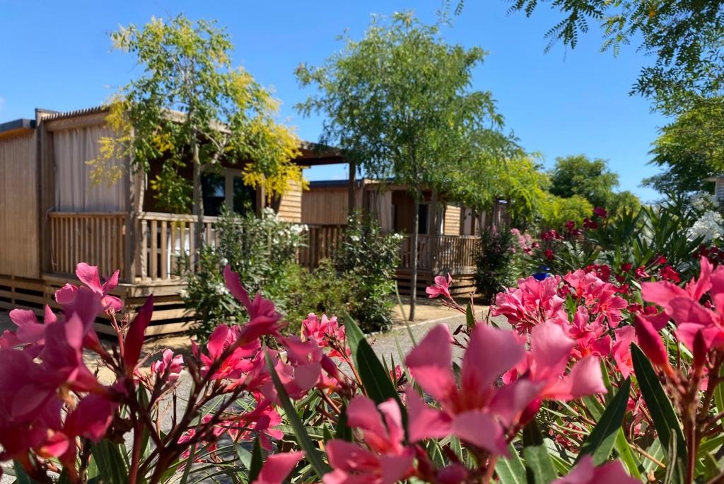 Camping Resort Els Pins Blick auf Mobilheim-Mietunterkünfte