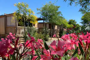 Camping Resort Els Pins Blick auf Mobilheim-Mietunterkünfte