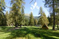 Camping & Resort Fiemme Village - Campingplatzgelände mit Parkplätzen und Mobilheimen