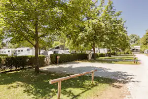 Camping Resort Ljubljana - Standplätze zwischen den Bäumen