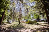 Camping Resort Ljubljana - Zelt- und Standplätze zwischen den Bäumen