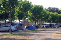 Camping Resort Mas Patoxas  -  Wohnwagen- und Zeltstellplatz vom Campingplatz zwischen Bäumen