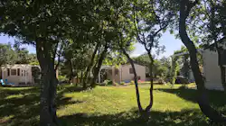 Camping Resort Micanovi Dvori