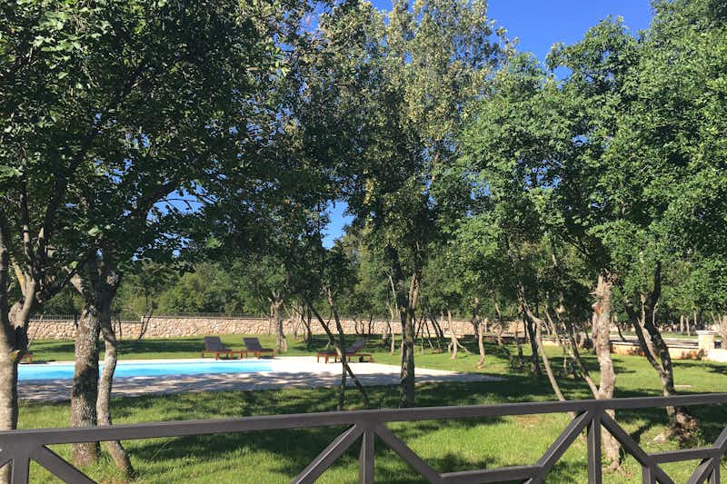 Camping Resort Micanovi Dvori - grüne Bäume und Rasen rund um den Pool