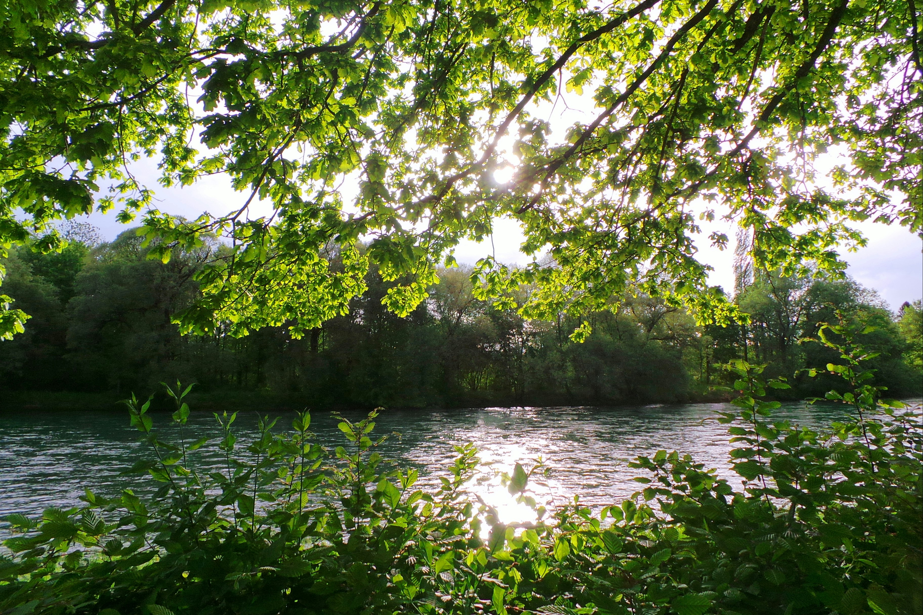 Camping Reussbrücke  -  Campingplatz am Fluss Reuss