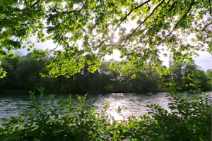 Camping Reussbrücke - Campingplatz am Fluss Reuss
