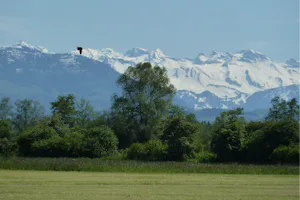 Camping Reussbrücke - Berge in der Nähe vom Campingplatz