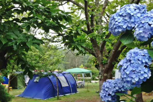 Camping Rural Ria de Arosa II