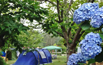 Camping Rural Ria de Arosa II