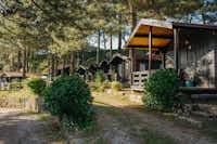 Camping Ria de Arosa - Außenansicht Mobilheime vom Campingplatz mit Veranda zwischen Bäumen