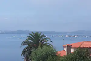 Blick auf das Meer mit vielen Segelbooten, Palmen und roten Dachziegeln im Vordergrund.