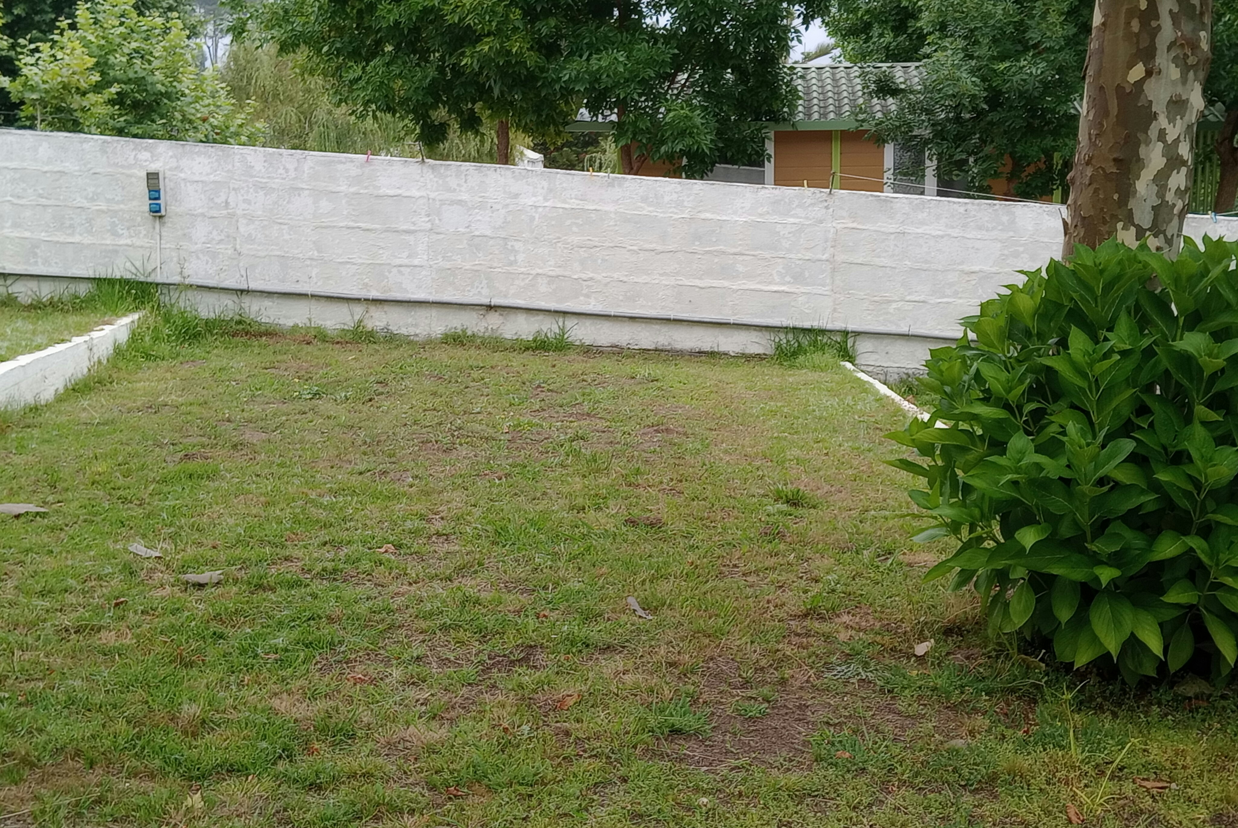 Gepflegter Rasen mit weißen Umrandungssteinen, dahinter Hecken und ein Gebäude mit brauner Tür im Campingbereich.