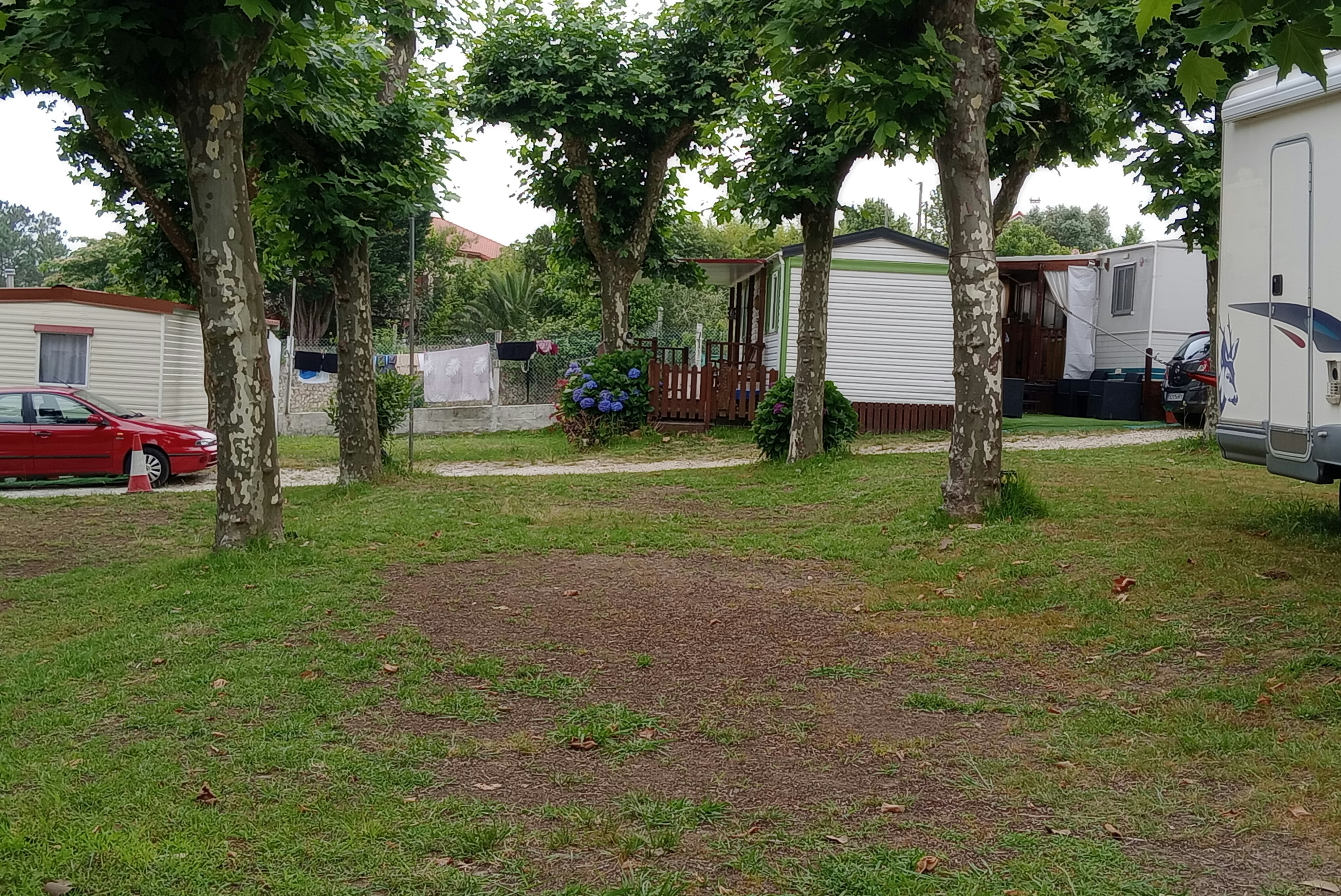 Stellplatz mit Wohnwagen und Vorzelt unter hohen Bäumen, Rasenfläche, Holzsichtschutz und Blumenbeet im Hintergrund.