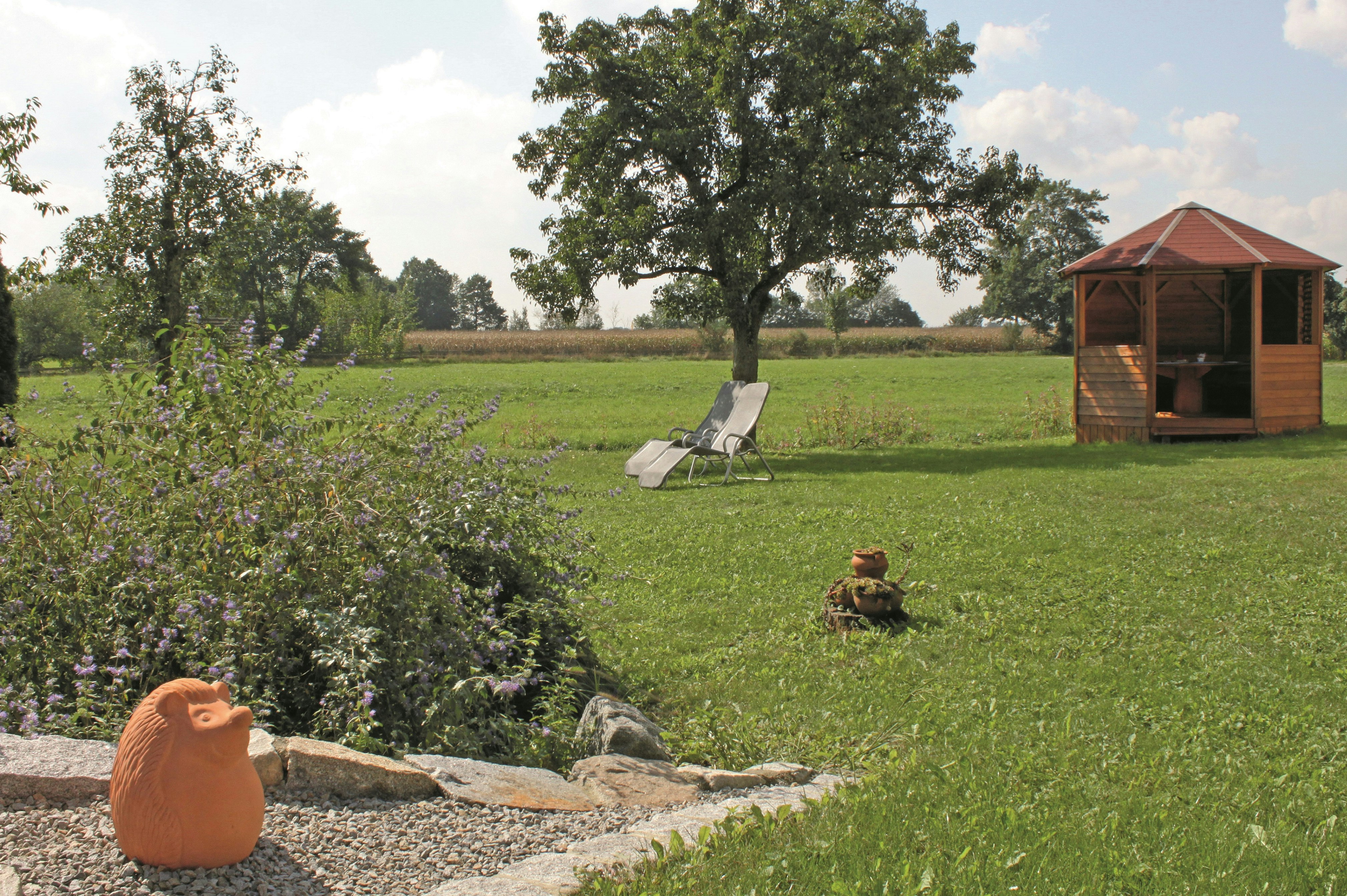Camping Riedlhof - Blick auf die Wiese des Campingplatzes