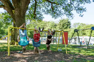 Camping Rijsterbos
