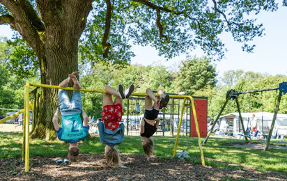 Camping Rijsterbos