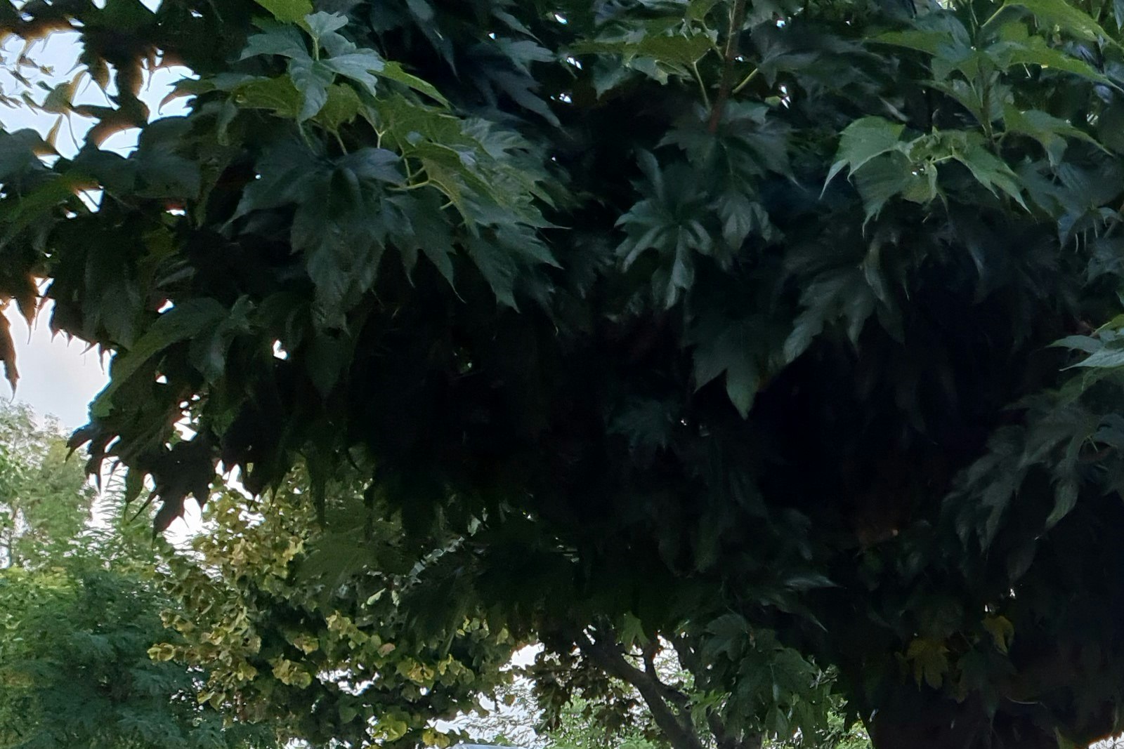 Camping Rio Ferienglück