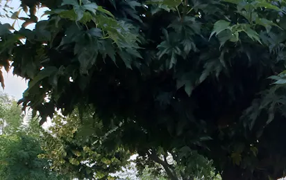 Camping Rio Ferienglück